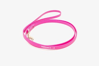 BioThane 4' Snap Lead